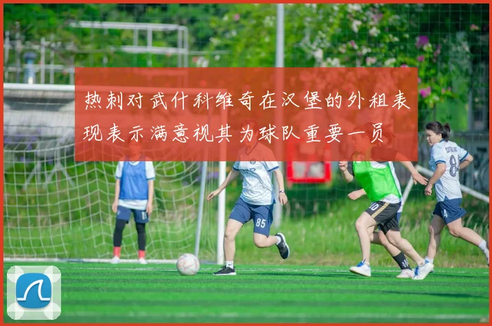 热刺对武什科维奇在汉堡的外租表现表示满意视其为球队重要一员